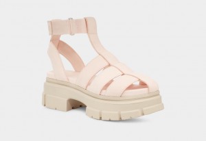 Beige Ugg Ashton Strappy Women Sandals | 425760-WYG