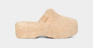 Beige Ugg Fuzz Sugar Women Clogs | 190562-WAJ