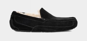 Black Ugg Ascot Men Slippers | 839140-GZW