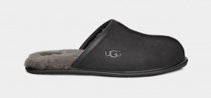 Black Ugg Scuff Leather Men Slippers | 427895-RYP