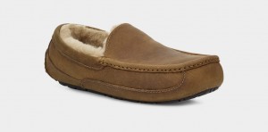 Brown Ugg Ascot Matte Leather Men Moccasins | 417263-CEQ