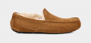 Brown Ugg Ascot Men Moccasins | 419783-UXQ