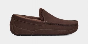 Brown Ugg Ascot Men Moccasins | 840519-JNC