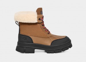 Brown Ugg Ashton Addie Women Boots | 317054-PDX