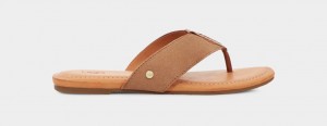 Brown Ugg Carey Flip Suede Women Slides | 895437-BRY