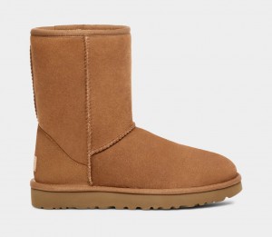 Brown Ugg Classic Men Boots | 623410-CRU