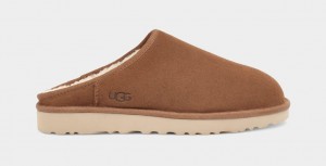 Brown Ugg Classic Men Slippers | 028945-MOK