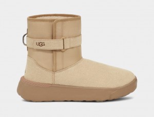 Brown Ugg Classic S Men Boots | 984132-OQJ