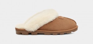 Brown Ugg Coquette Women Slippers | 470291-GUM