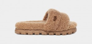 Brown Ugg Cozetta Curly Women Slides | 807359-CSO