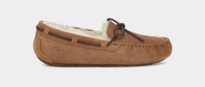 Brown Ugg Dakota Women Moccasins | 098154-UBZ