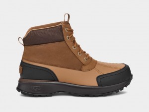 Brown Ugg Emmett Duck Men Boots | 196834-IPM