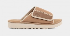 Brown Ugg Goldencoast Men Slides | 184075-OZF