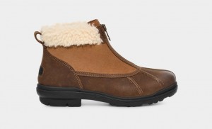 Brown Ugg Hapsburg Zip Women Boots | 096823-IQF