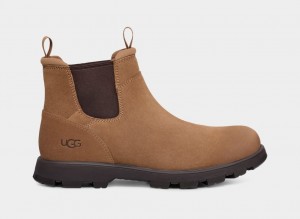 Brown Ugg Hillmont Men Chelsea Boots | 520178-MVT