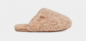 Brown Ugg Maxi Curly Women Slippers | 518374-BSG