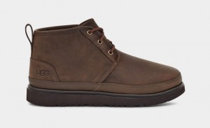 Brown Ugg Neumel Weather II Men Boots | 360859-INE