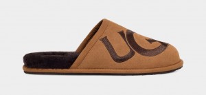 Brown Ugg Scuff Logo II Men Slippers | 708364-FLC