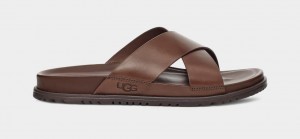 Brown Ugg Wainscott Men Slides | 852739-XVU