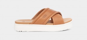 Brown Ugg Zayne Crossband Women Slides | 256071-SLB