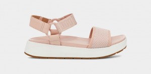 Coral Ugg Aissa Women Sandals | 457928-STD