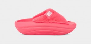 Coral Ugg FoamOplush Women Slides | 851293-QFJ