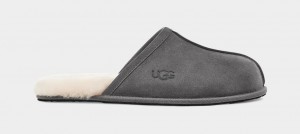 Dark Grey Ugg Scuff Men Slippers | 297365-MHG