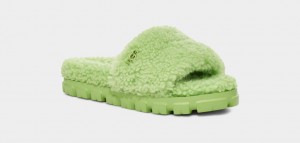 Green Ugg Cozetta Curly Women Slippers | 491876-DCR