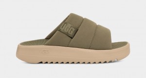 Green Ugg Maxxer Men Slides | 920615-YLW