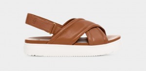 Khaki Ugg Zayne Slingback Women Sandals | 816743-ZOV