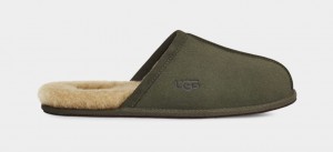 Olive Ugg Scuff Men Slippers | 814290-GUM