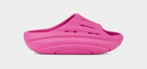 Pink Ugg FoamO Women Slides | 091784-JAZ