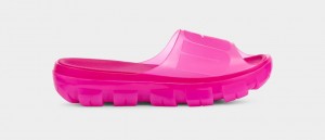 Pink Ugg Jella Clear Women Slides | 370546-CSA