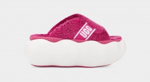 Pink Ugg Sugarcloud Women Slides | 982401-AJR