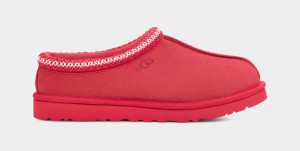 Pink Ugg Tasman Men Slippers | 510947-LND