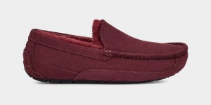 Purple Ugg Ascot Men Moccasins | 765083-MQV