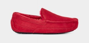 Red Ugg Ascot Men Slippers | 457936-JKV