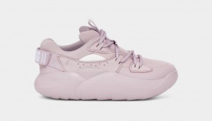 Rose / Grey Ugg LA Cloud Lace Women Sneakers | 037859-HLI