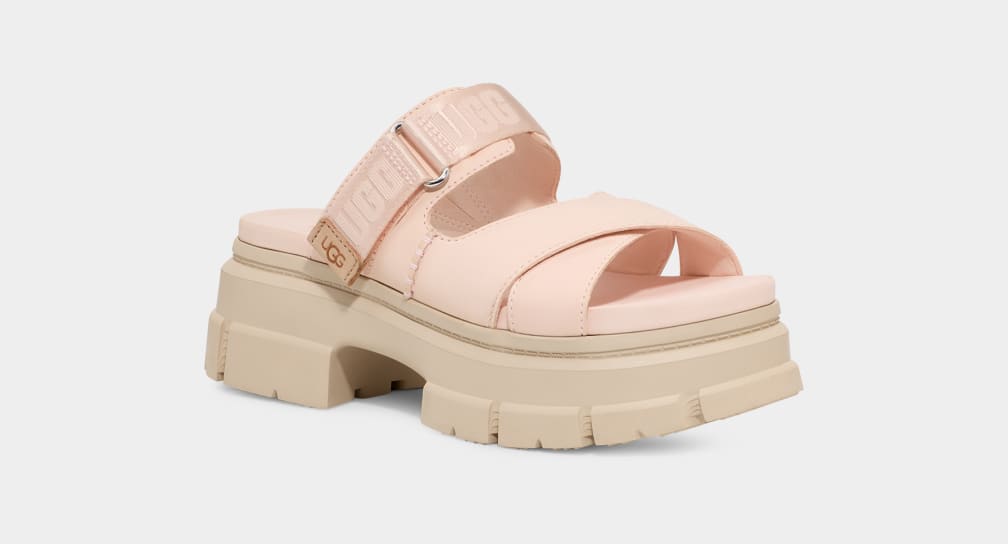 Beige Ugg Ashton Women Slides | 036489-CUJ