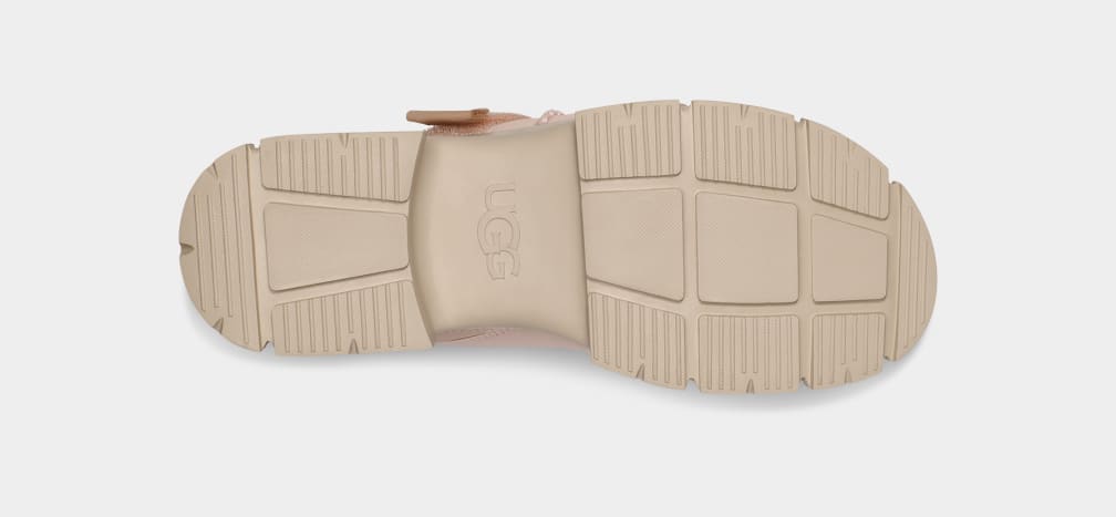 Beige Ugg Ashton Women Slides | 036489-CUJ