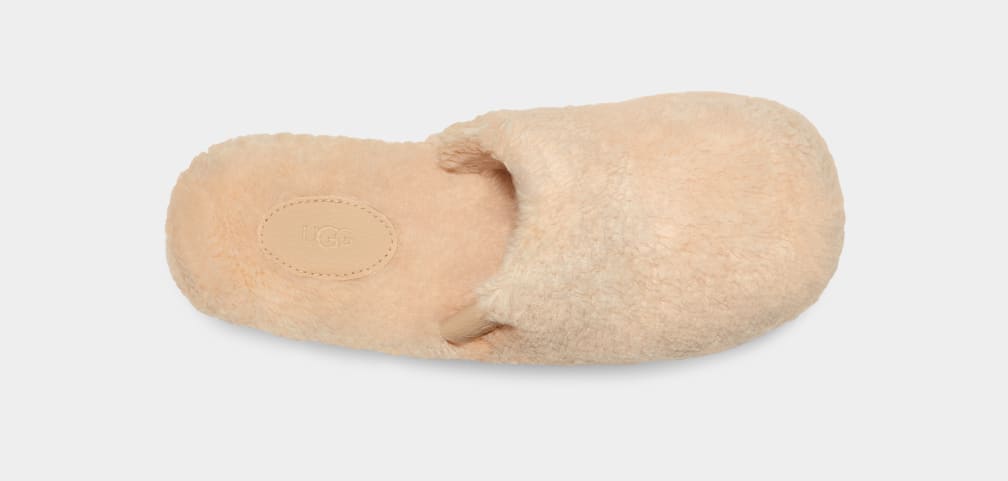 Beige Ugg Fuzz Sugar Women Clogs | 190562-WAJ