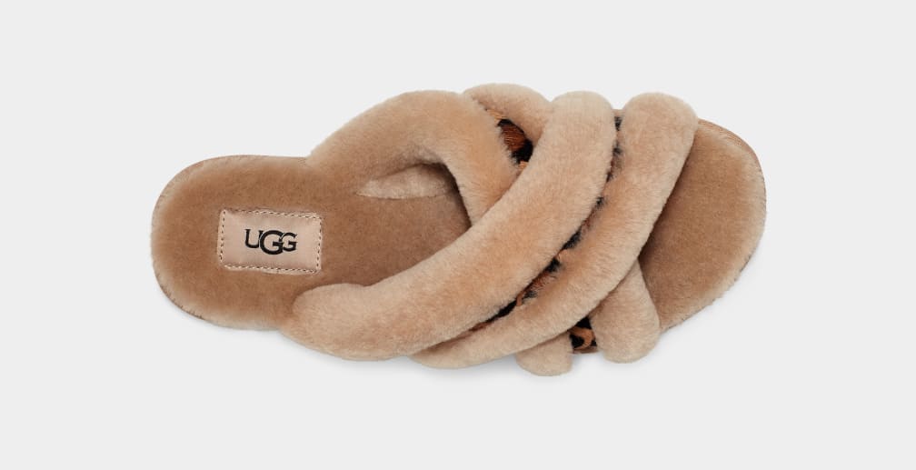 Beige Ugg Scuffita Spotty Women Slippers | 654213-BDY