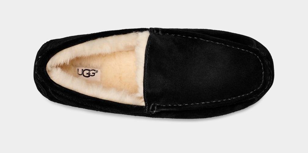 Black Ugg Ascot Men Moccasins | 907562-DUT