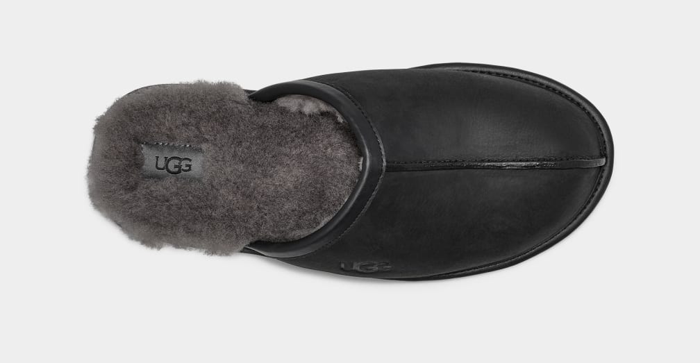 Black Ugg Scuff Leather Men Slippers | 427895-RYP