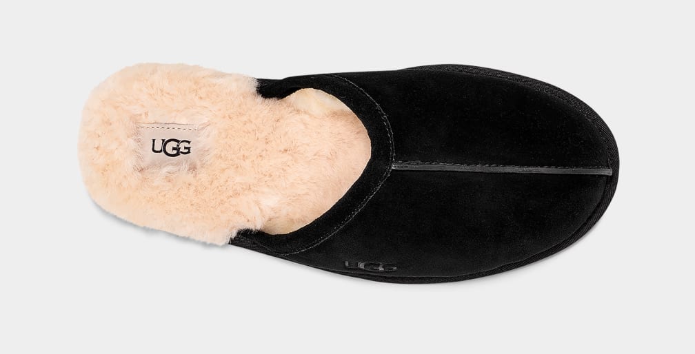 Black Ugg Scuff Men Slippers | 853641-OJR