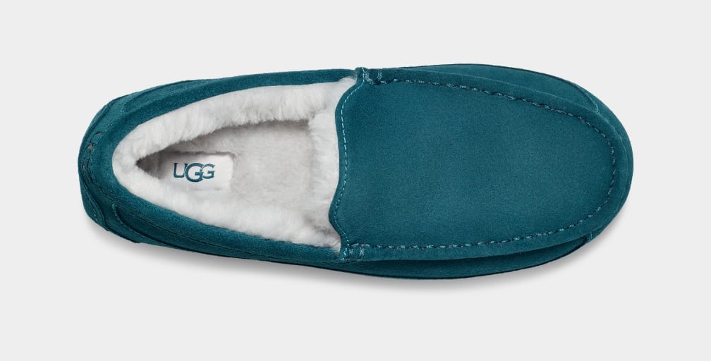 Blue Ugg Ascot Men Moccasins | 740815-ZDV