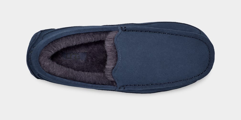 Blue Ugg Ascot Men Moccasins | 796012-UCY