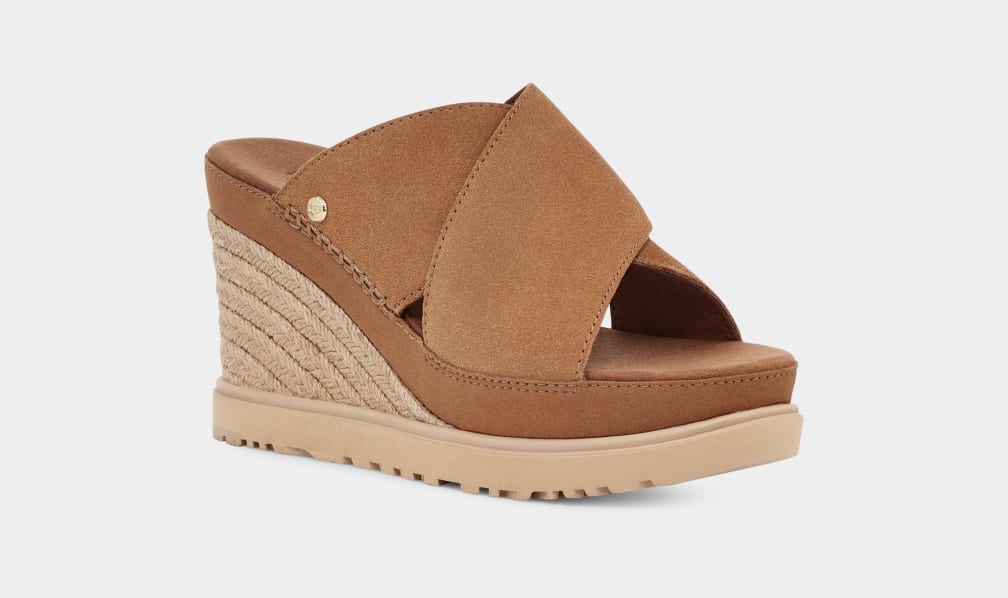 Brown Ugg Abbot Women Slides | 647582-TWQ