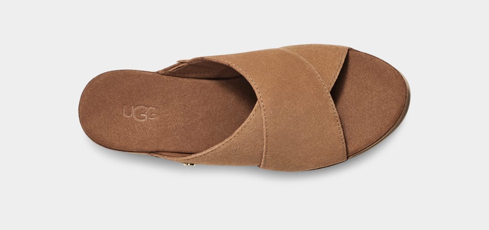 Brown Ugg Abbot Women Slides | 647582-TWQ