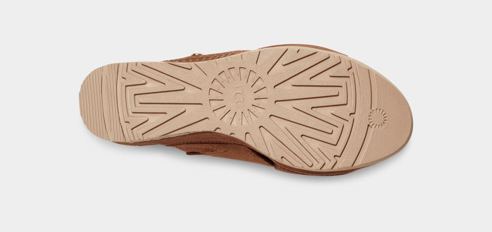 Brown Ugg Abbot Women Slides | 647582-TWQ